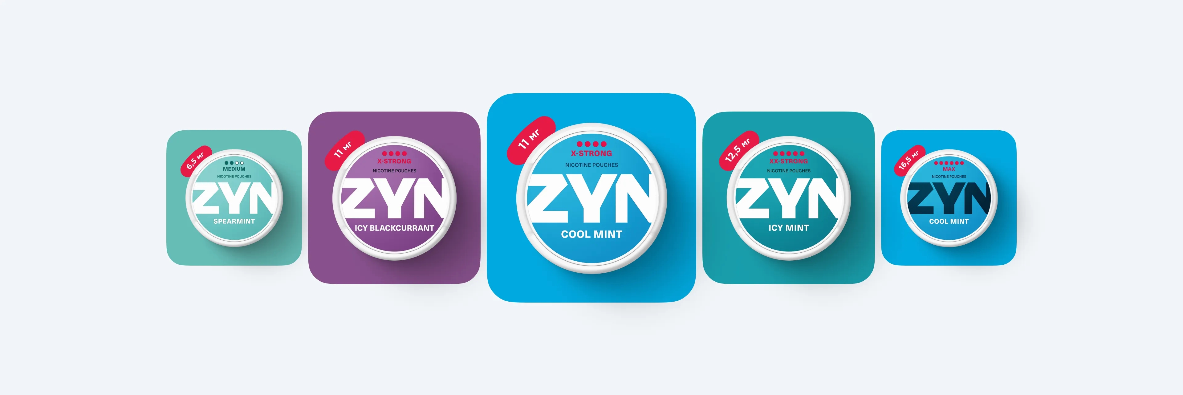 how-to-choose-zyn