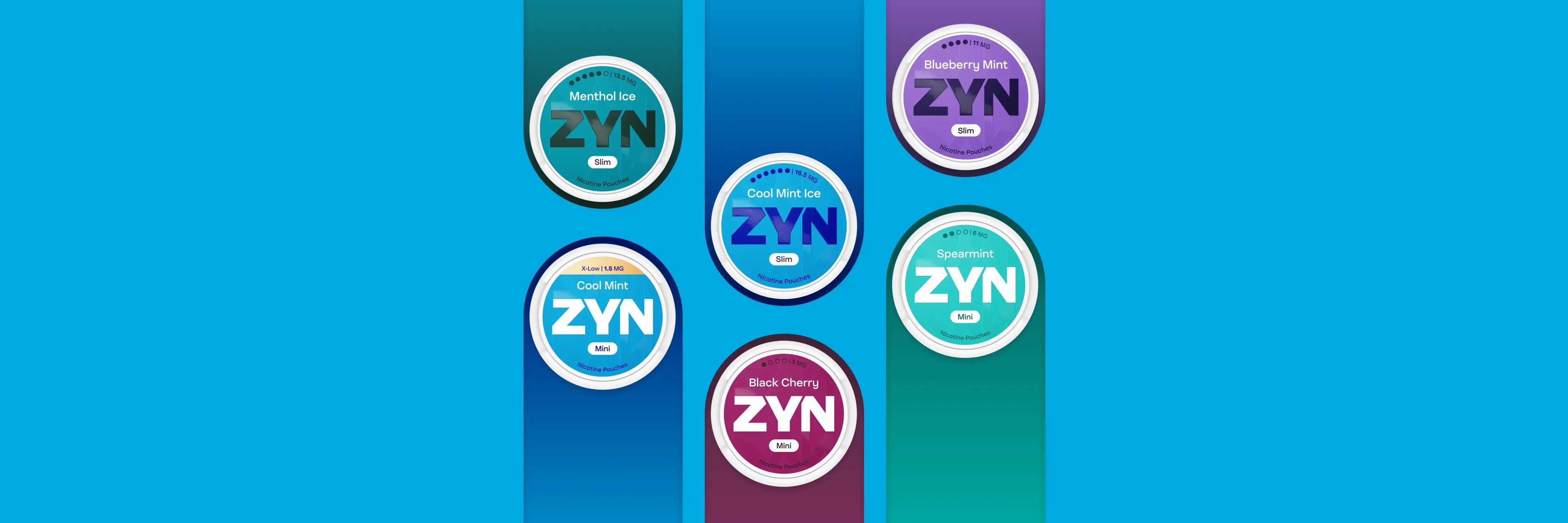 zyn-fda