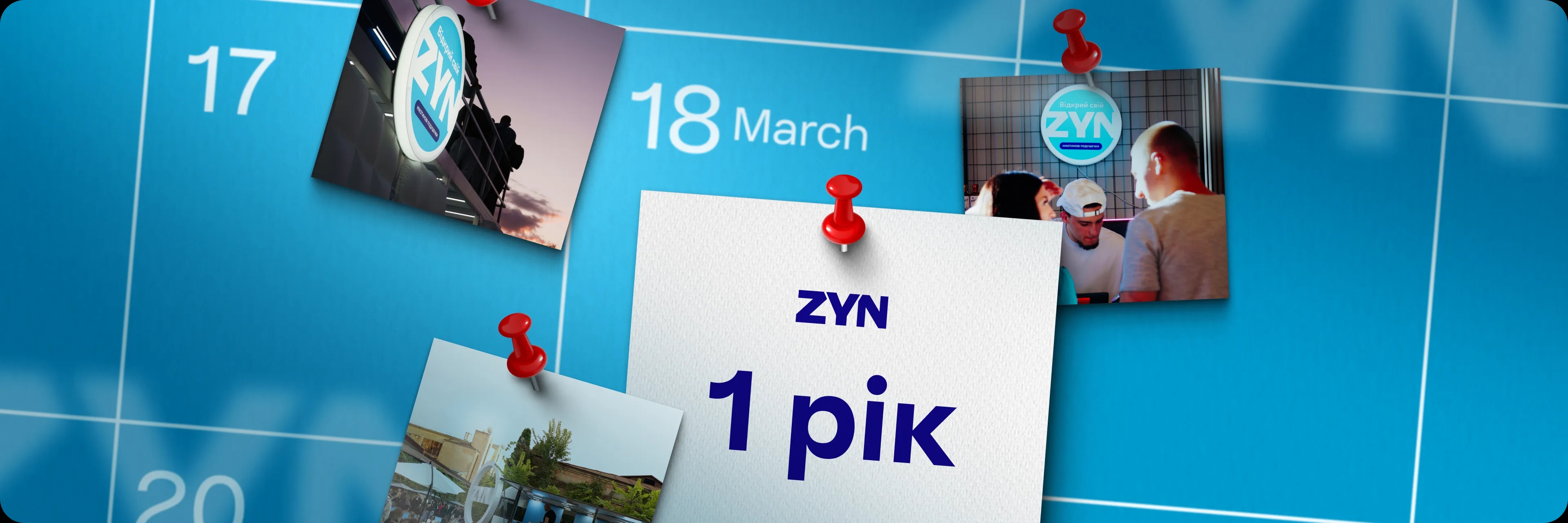 zyn-1st-year