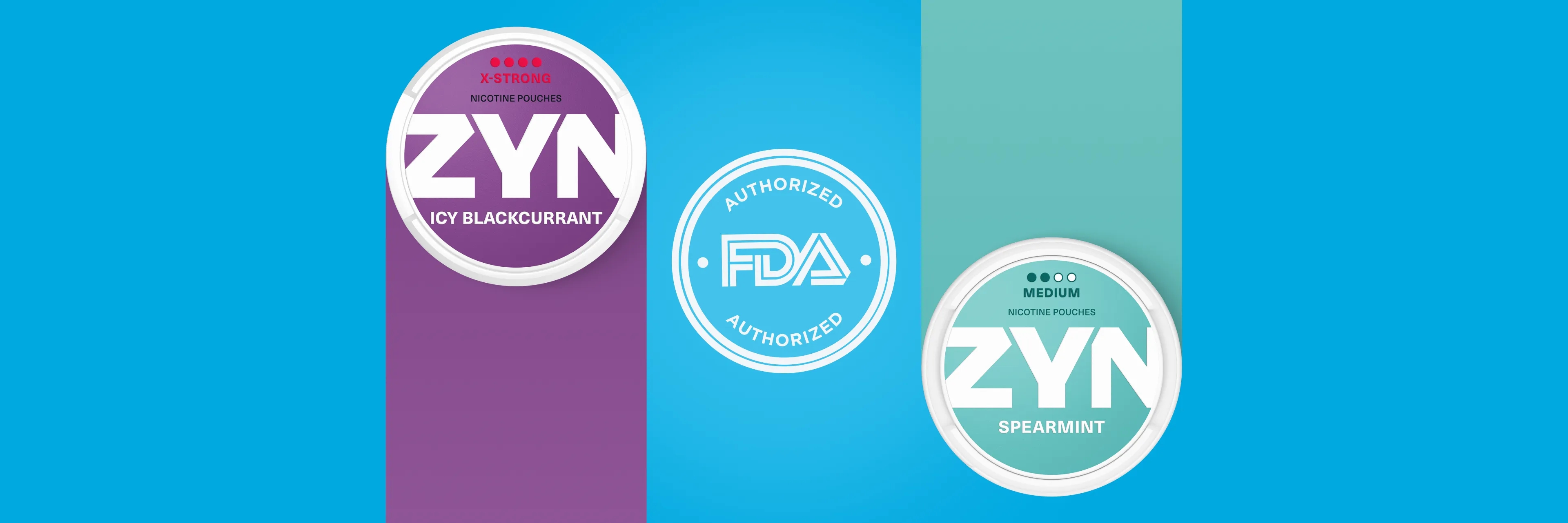 zyn-fda