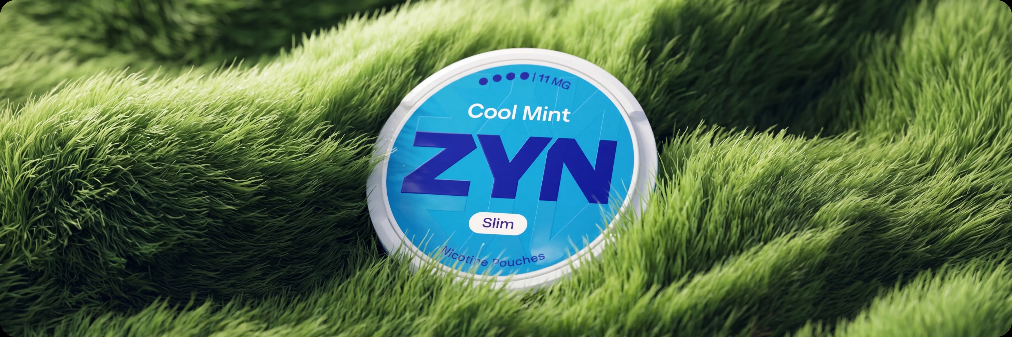 zyn-summer-preservation
