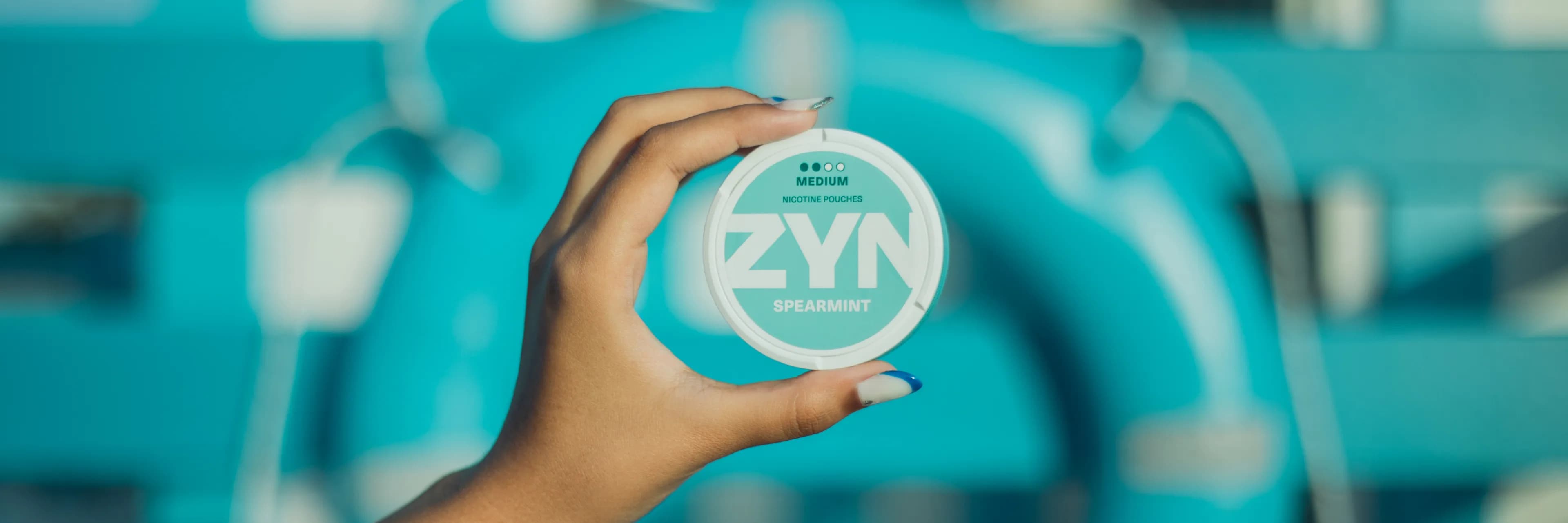 zyn-summer-recap