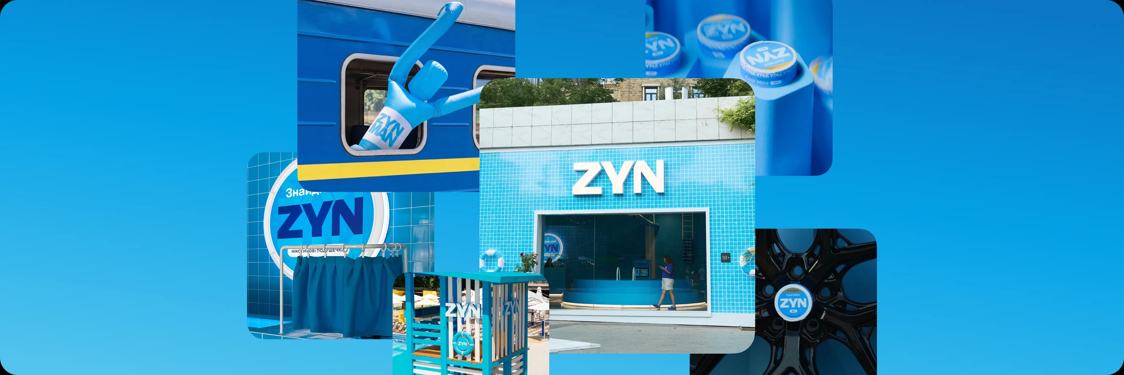 zyn-summer-digest