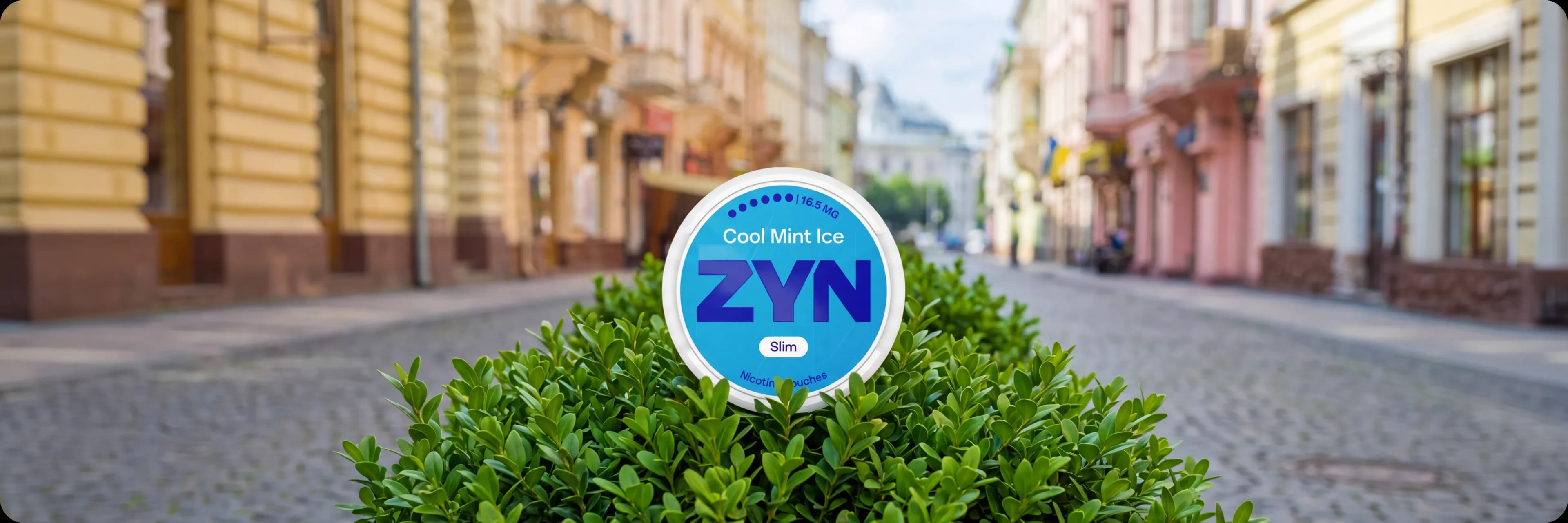 zyn-where-to-buy-chernivtsi