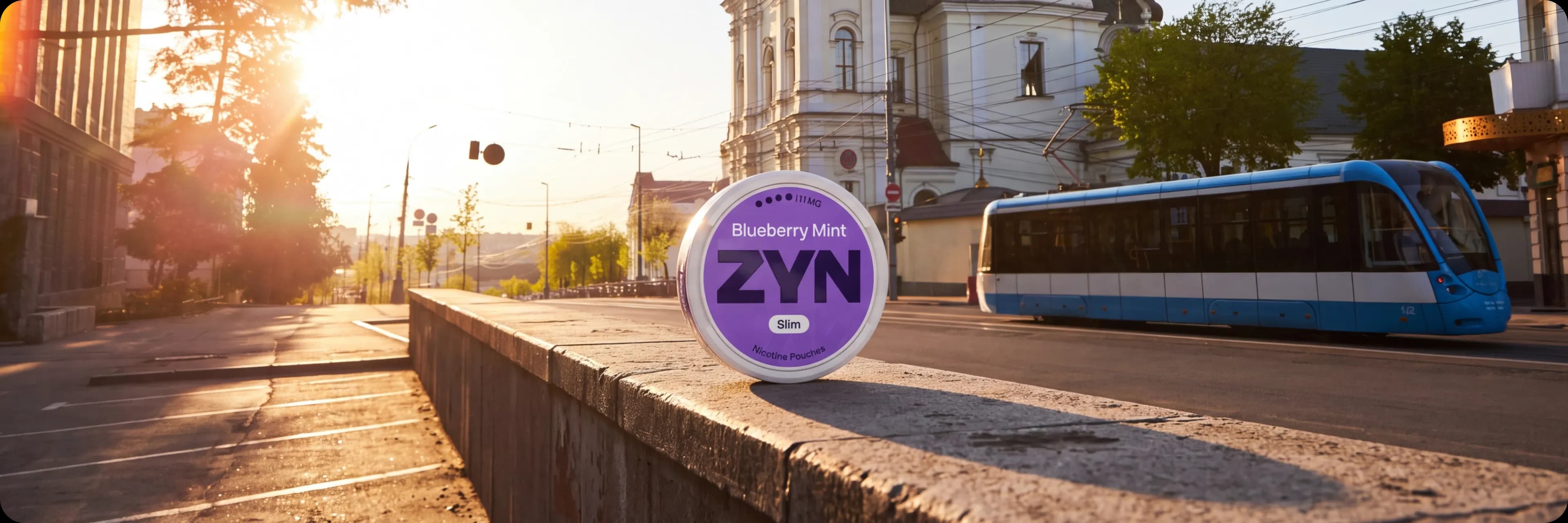 zyn-where-to-buy-vinnytsia