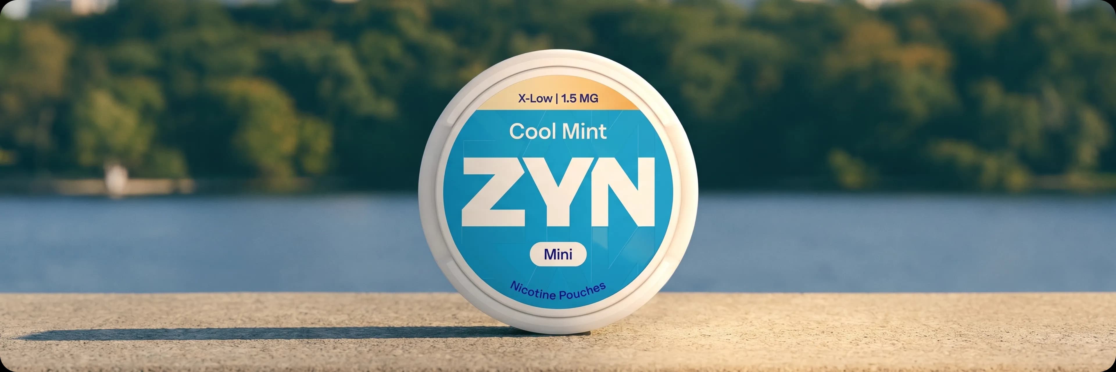 where-to-buy-pouches-zyn-in-dnipro