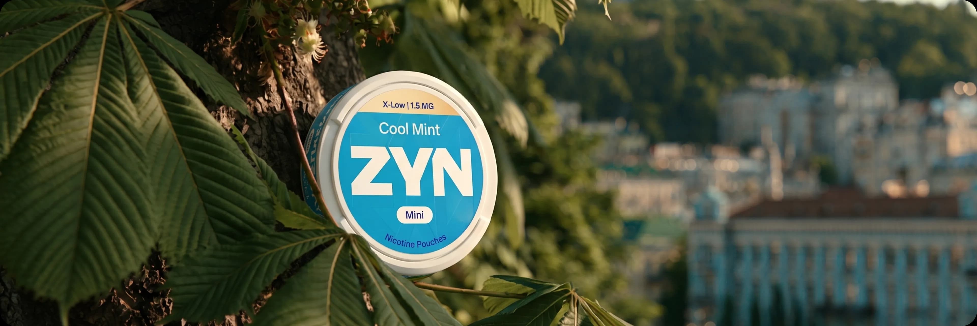 kyiv-where-to-buy-pouches-zyn-and-consumables